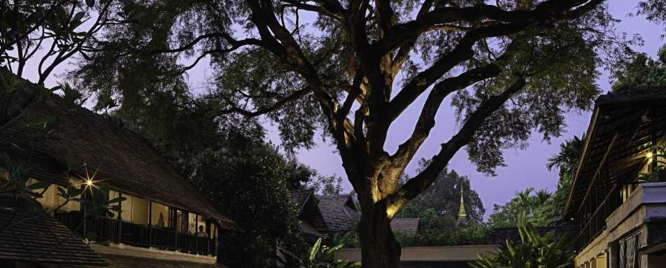 Courtyard - Tamarind Village