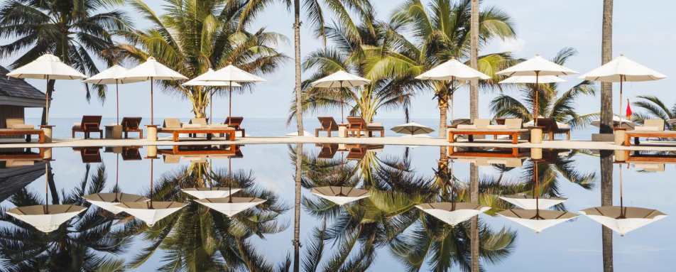 Pool & Palm Trees - The Surin