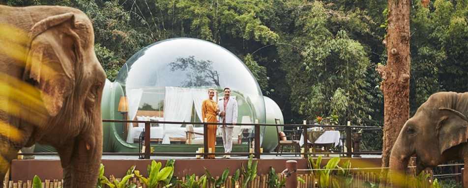 Anantara Golden Triangle Jungle Bubble Overnight