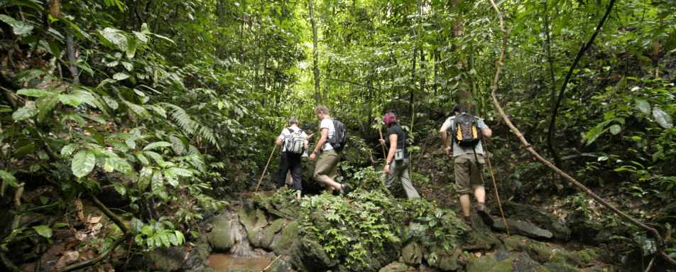 Day 4 Elephant Hills Rainforest Nature Safari 4 days3 nights