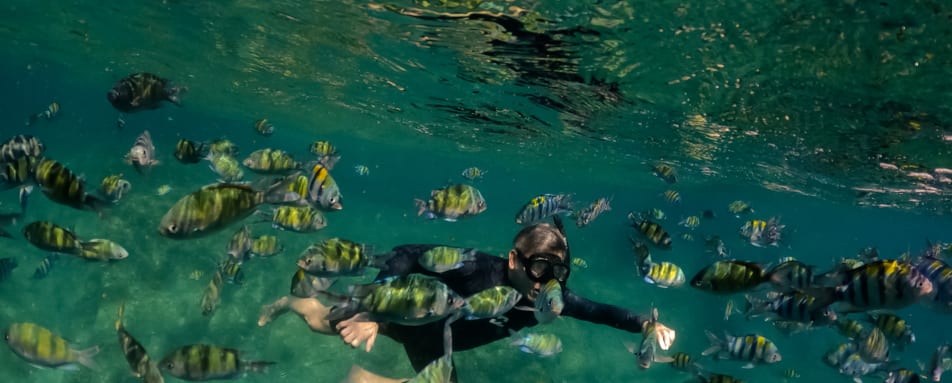Snorkelling at Koh Waeo