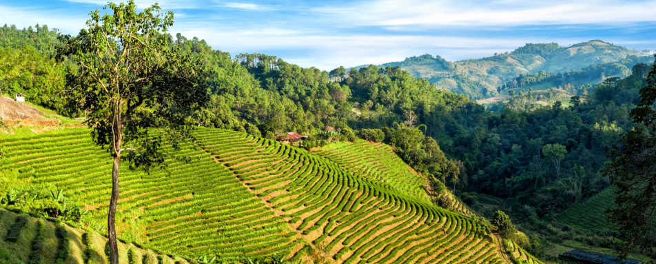 Chiang Rai - Highlights of Thailand