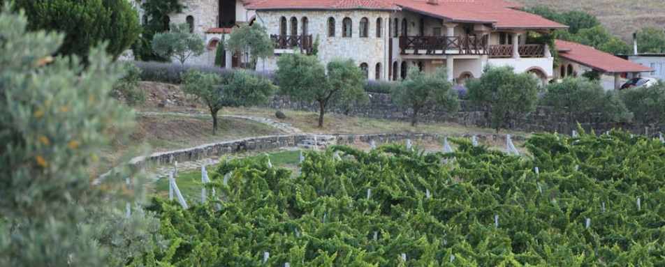 Exterior - Yedi Bilgeler Winery Hotel