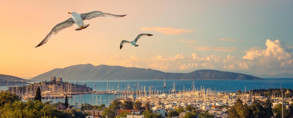 Bodrum Harbour