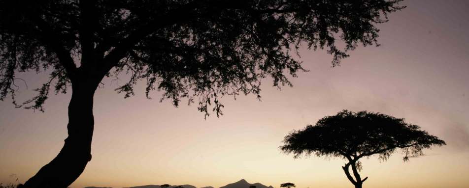 Kidepo National Park at dusk - Apoka Lodge