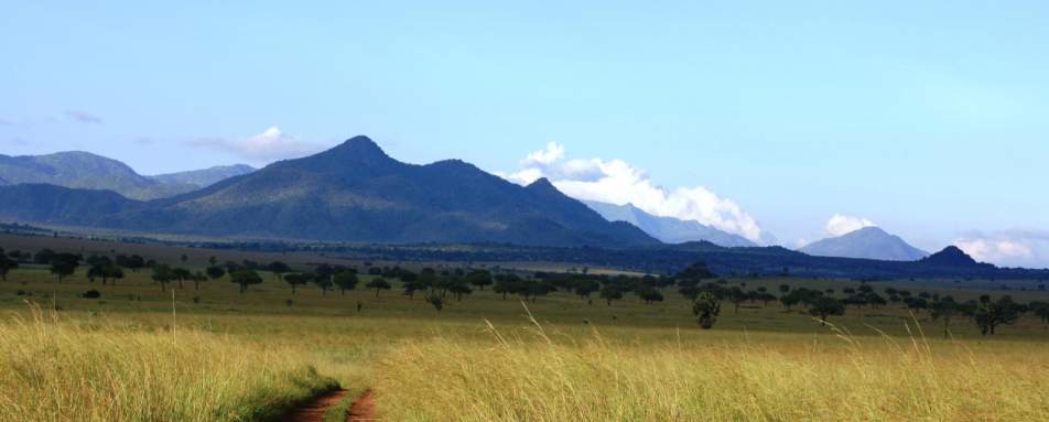 Exploring Kidepo National Park - Apoka Lodge