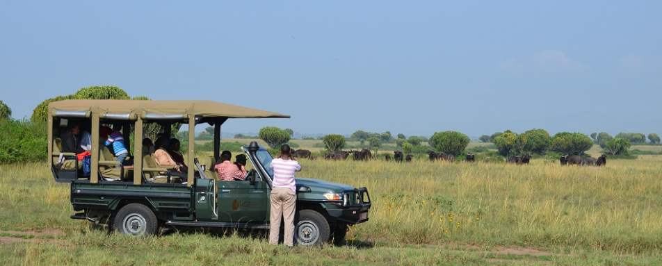 Game Drive - Katara Lodge