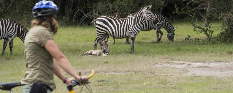 Bike Safari - Mihingo Lodge