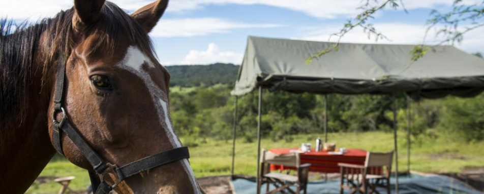 Horseback Safari - Mihingo Lodge