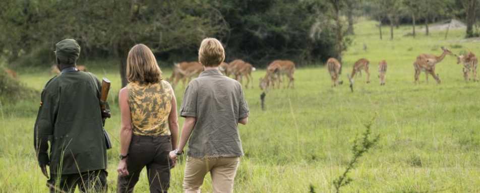 Walking Safari - Mihingo Lodge