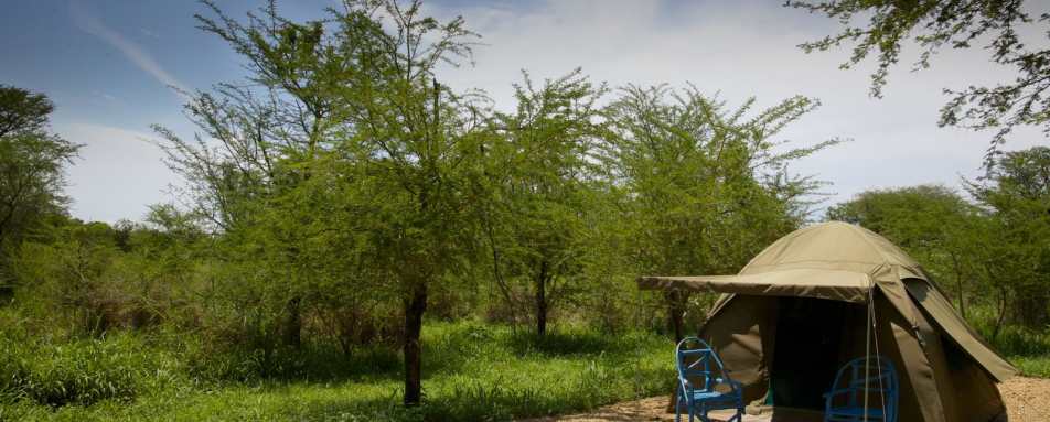 Flycamp - Murchison River Lodge