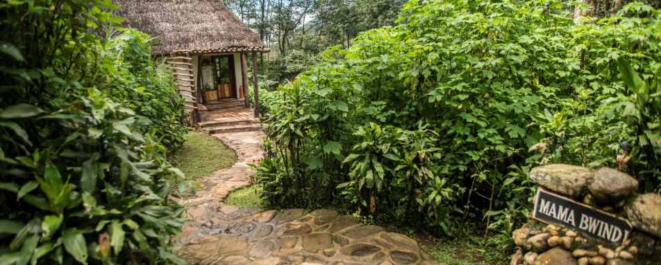 Path to a cottage - Volcanoes Bwindi Lodge