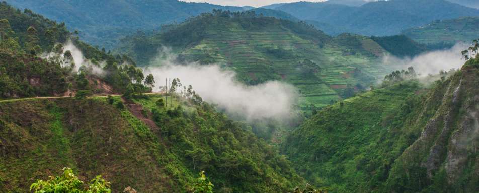 Bwindi - Ultimate Uganda