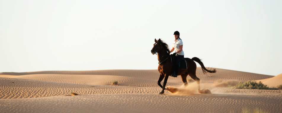 Riding on the dunes - Al Maha Desert Resort and Spa