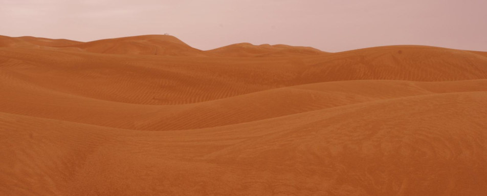 Sand Dunes - Qasr Al Sarab