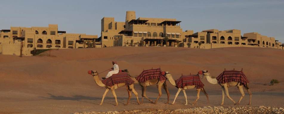 Camels - Qasr Al Sarab