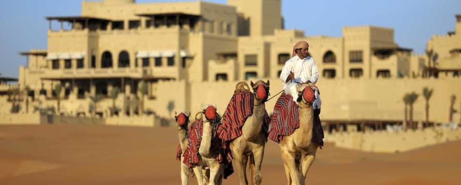 Camel  - Qasr Al Sarab
