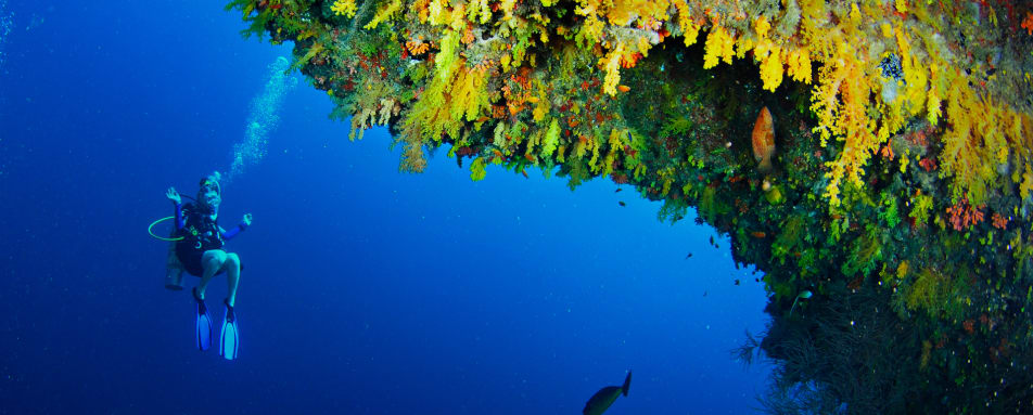 Diving - Golden Wall House Reef 