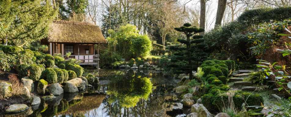 Japanese tea garden - Belmond Le Manoir aux Quat'Saisons