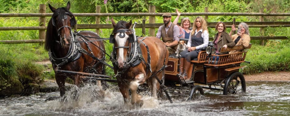 Bovey Castle - Carriage ride 