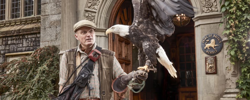 Bovey Castle - Falconry 