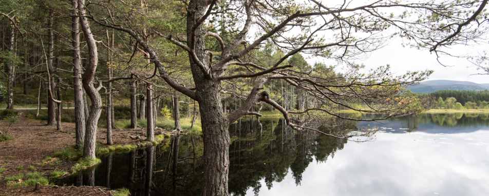 Loch - Killiehuntly
