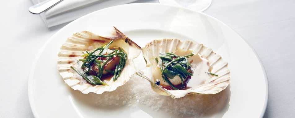 Scallops - University Arms Cambridge 