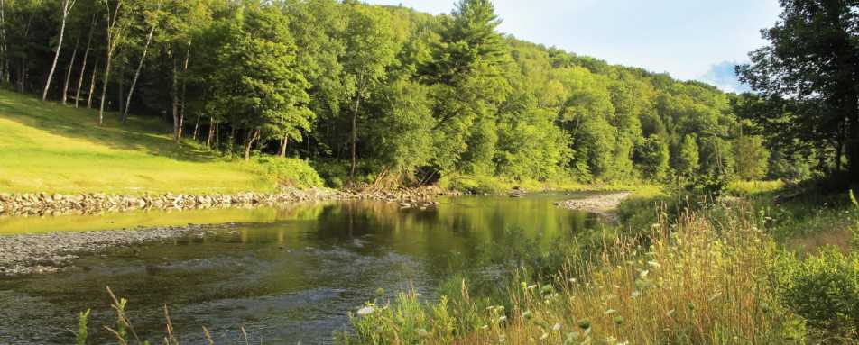 Tranquil river views - 506 On the River
