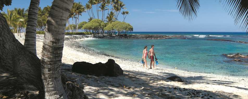 Beach - Fairmont Orchid