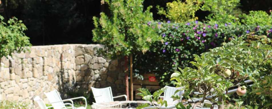 Beautiful gardens - The Farmhouse Inn and Restaurant