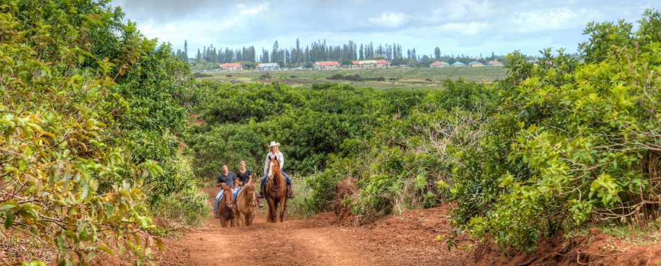 Horse Riding near Four Seasons Lana'i at Manele Bay