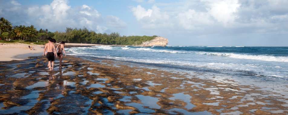 Beach -  Grand Hyatt Kauai Resort and Spa
