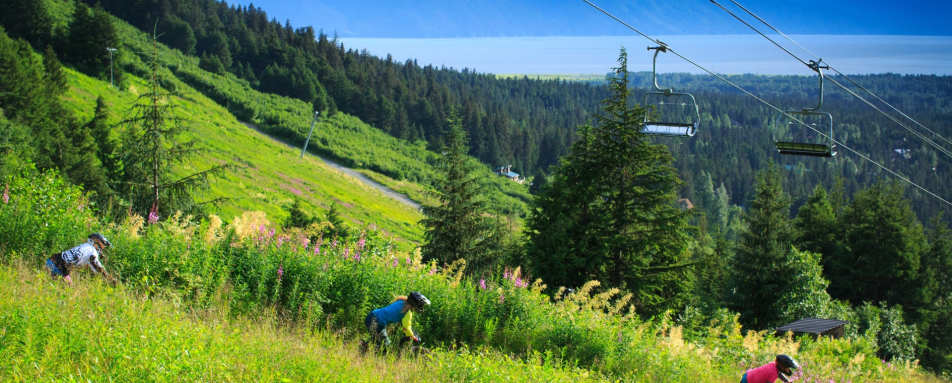 Bike Park - The Hotel Alyeska