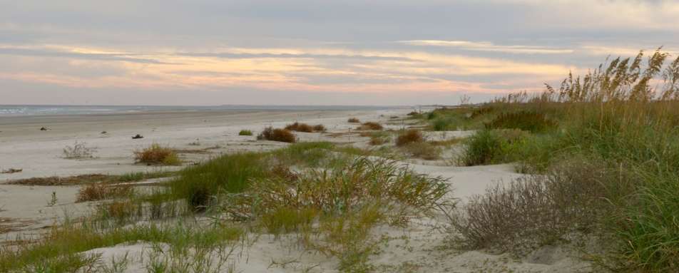 Sand Dunes - Kiawah Island Golf Resort 