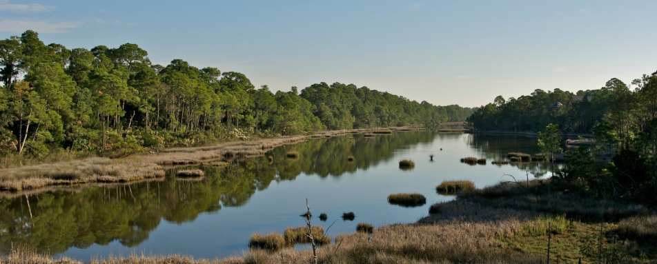 Marsh Pond - Kiawah Island Golf Resort 