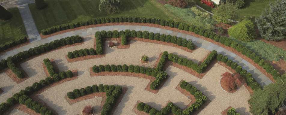 Gardens - The Mayflower Grace