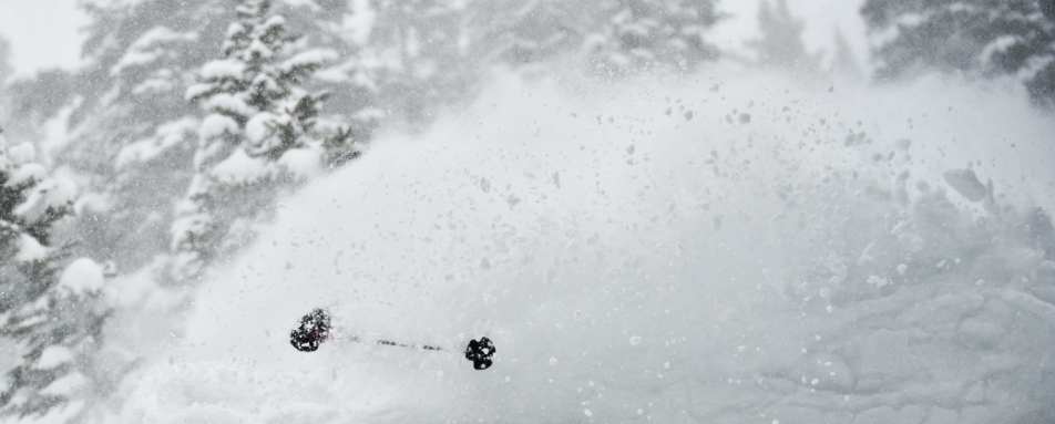 Powder - Scarp Ridge Lodge