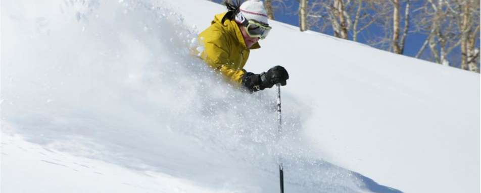 Skier - St Regis Deer Valley