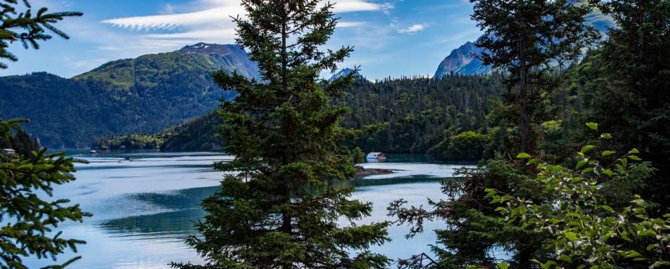 Stillpoint Lodge Bay view 