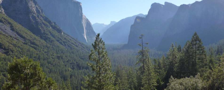 Yosemite National Park