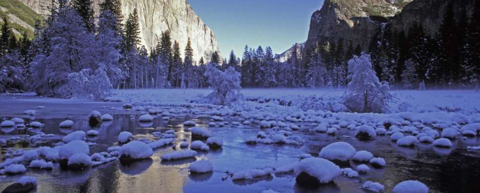 Yosemite Valley Floor 