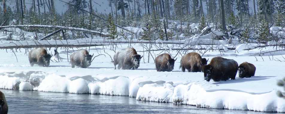 Jackson Hole - Teton Mountain Lodge & Spa