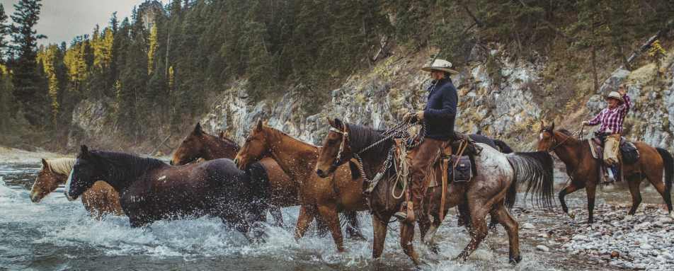 Horse Riding - The Green O 
