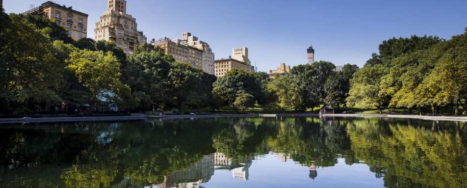 Central Park - The Mark