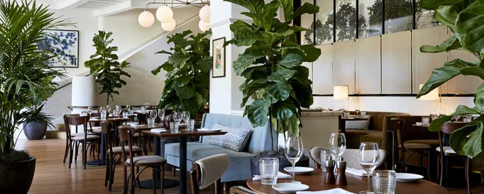 Maybourne Dining Room 