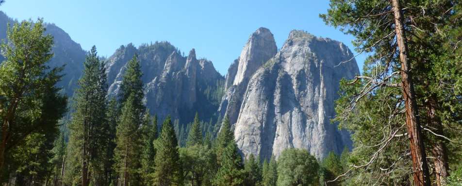 The Meadows - The Redwoods in Yosemite 