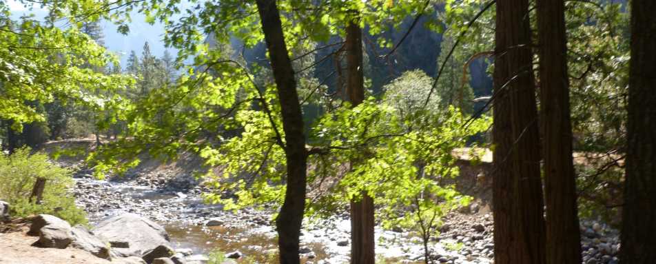 Rivers and Creeks - The Redwoods in Yosemite 