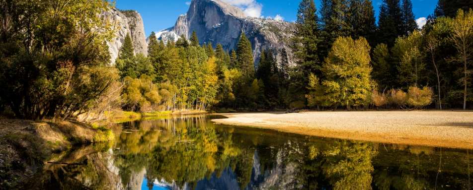 Yosemite scenery - The Redwoods in Yosemite 