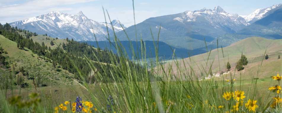 Local Scenery - Triple Creek Ranch 