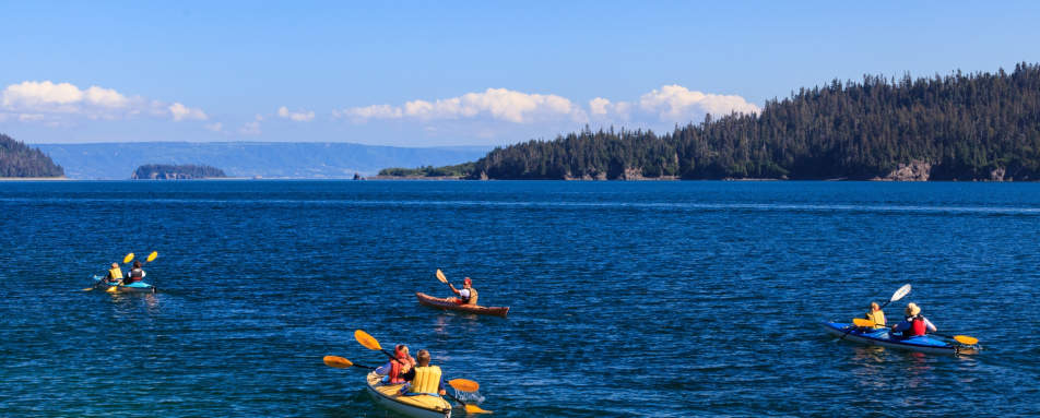 Sea Kayaking - Tutka Bay Lodge